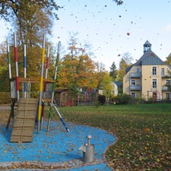Bild  2 