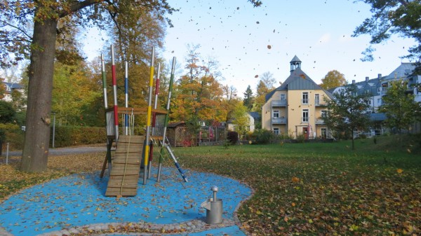 Bild  2 