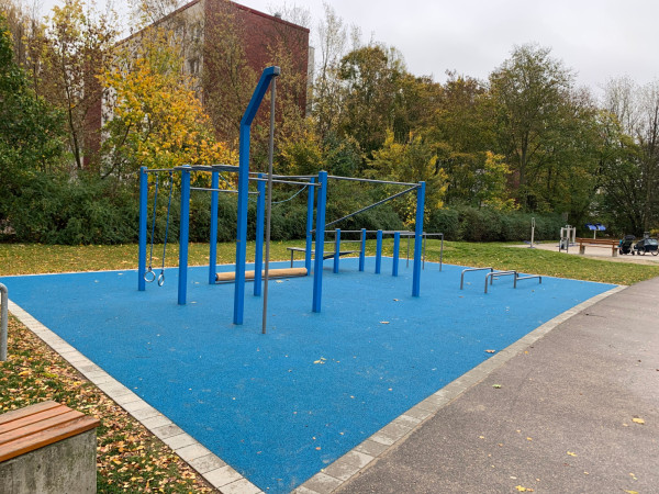 Fritz Muller Calisthenics 4458