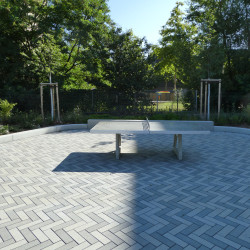 Leipzig Philipp Rosenthal Strasse 63 Gymnasium Prager Spitze  29  5121